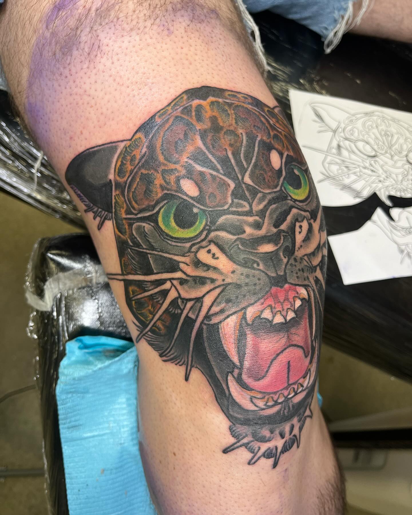 Neo-traditional jaguar knee tattoo bold colour